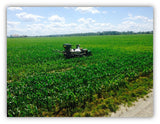 DLB T15 120E -20' seeding Boom