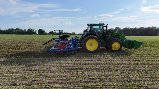 DLB  AS300H